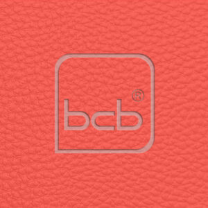 Farbmuster in RAL 2012 Lachsorange